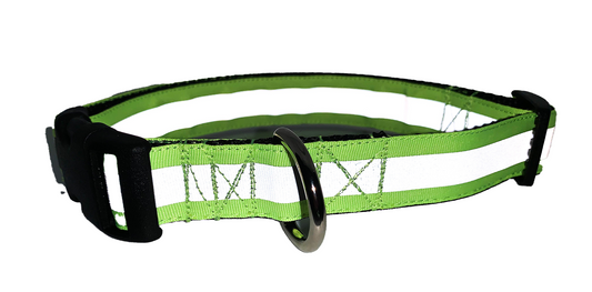 Neon Green Reflective Collar 1" Width Adjustable