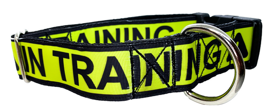 IN TRAINING Dog Collar 1.5 inch width Large