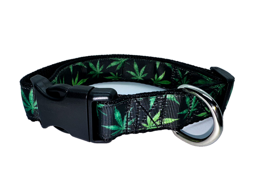 Green Leaf Mary Jane Collar 1" Width Adjustable