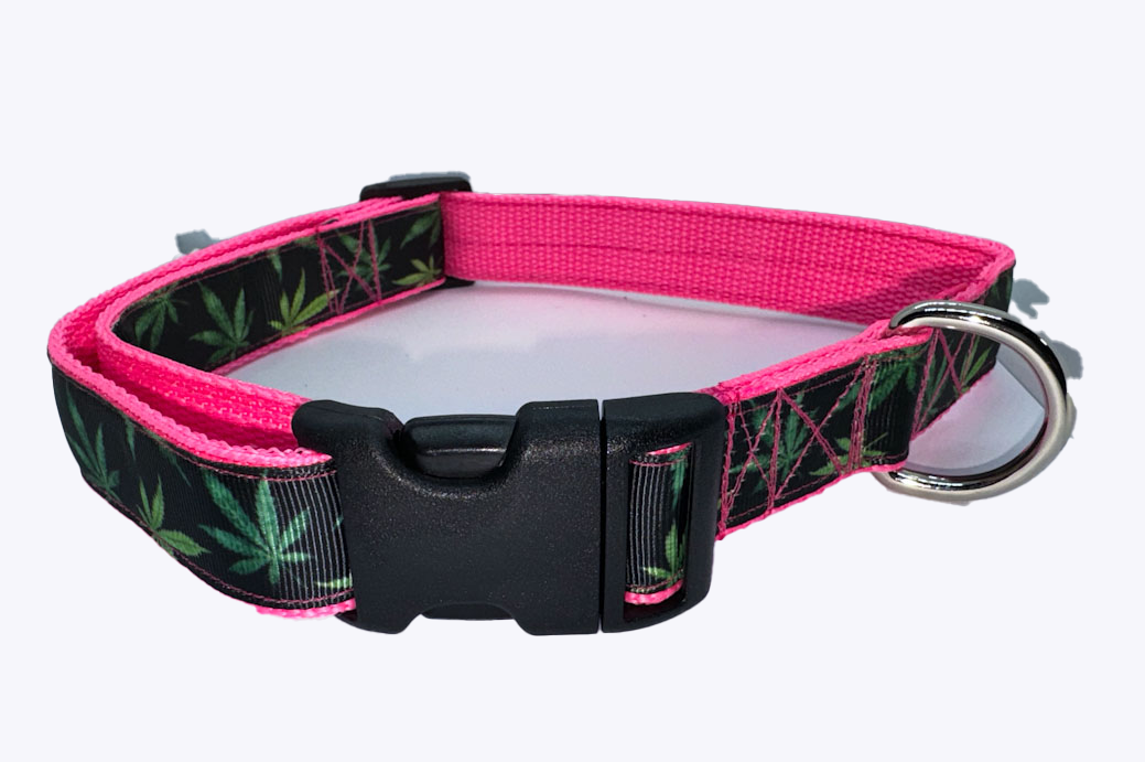 Green Leaf Mary Jane Collar 1" Width Adjustable
