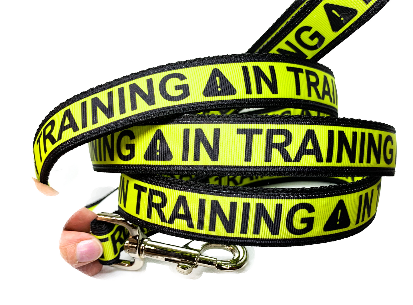 IN TRAINING Leash 1" width choose length