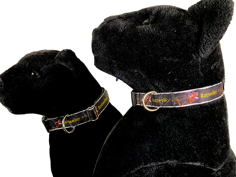 Rottweiler Collar Adjustable 1" or 1.5" width