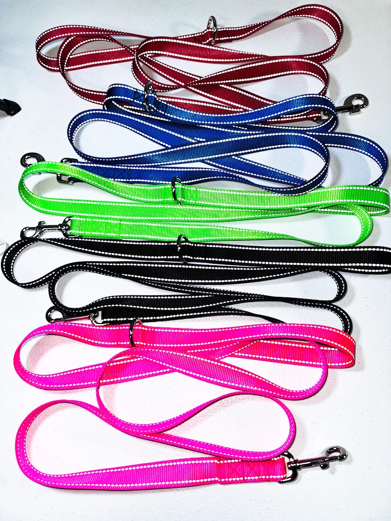 Standard Pet Leash 1" width