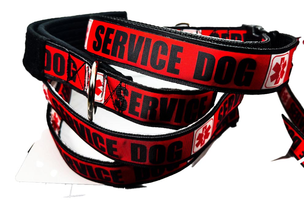Large Dog Leash 1.5" Width