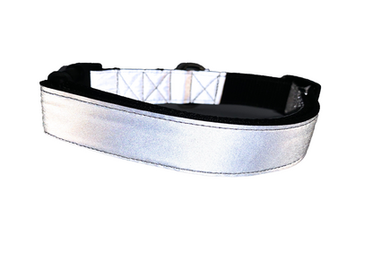 Silver Reflective Collar 1" Width Adjustable
