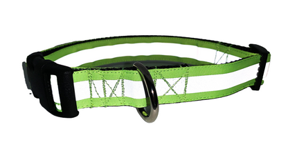 Neon Green Reflective Collar 1" Width Adjustable