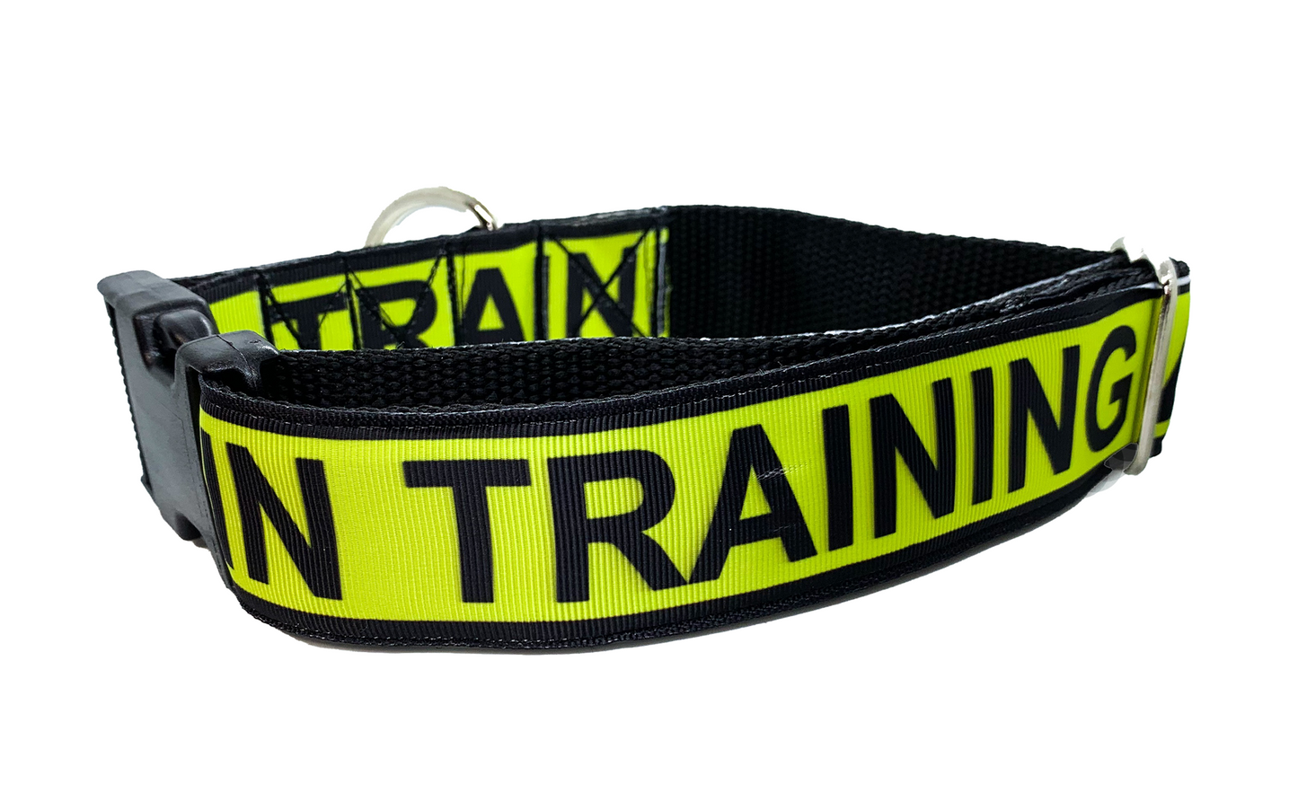 IN TRAINING Dog Collar 1.5 inch width Large