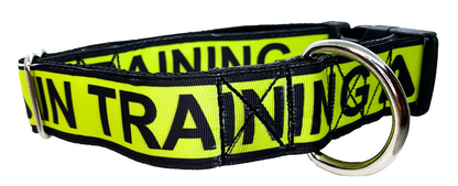 IN TRAINING Dog Collar 1.5 inch width Large