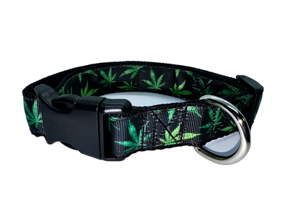 Green Leaf Mary Jane Collar 1" Width Adjustable