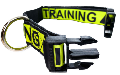 IN TRAINING Dog Collar 1.5 inch width Large
