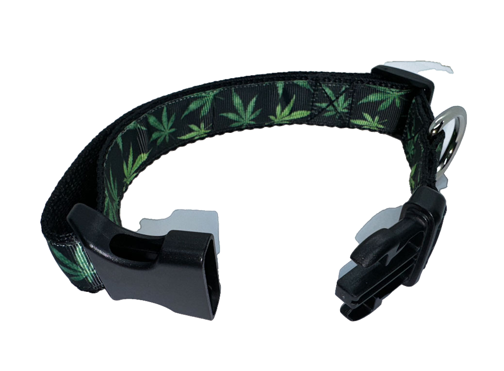Green Leaf Mary Jane Collar 1" Width Adjustable