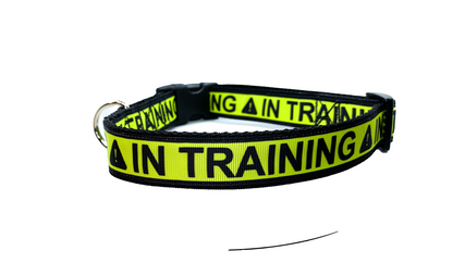 IN TRAINING Dog Collar 1.5 inch width Large