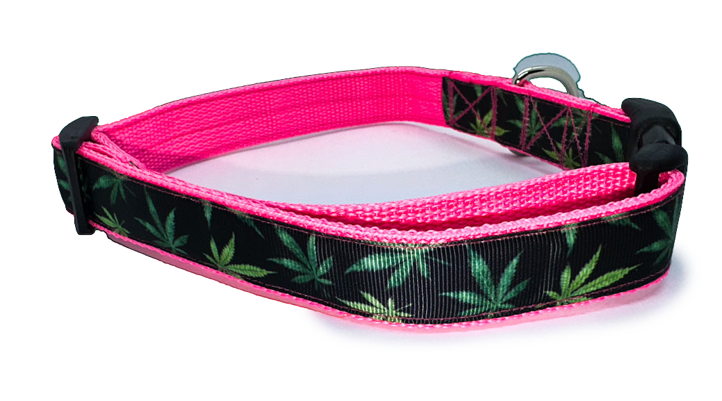 Green Leaf Mary Jane Collar 1" Width Adjustable