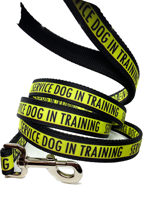 Service Dog in Training Leash 1" width choose length