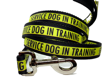 Service Dog in Training Leash 1" width choose length