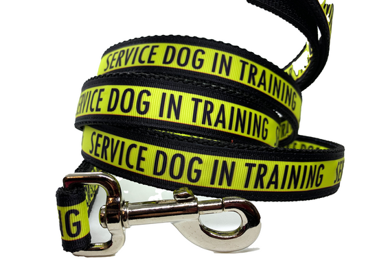 Service Dog in Training Leash 1" width choose length