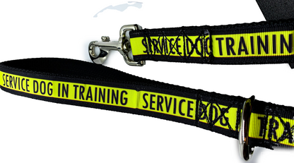 Service Dog in Training Leash 1" width choose length