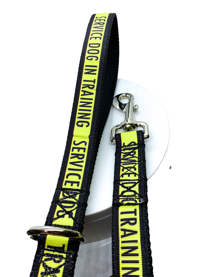 Service Dog in Training Leash 1" width choose length