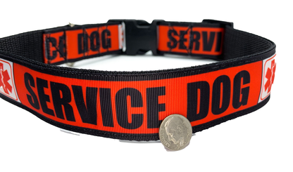 Service Dog Collar, Adjustable