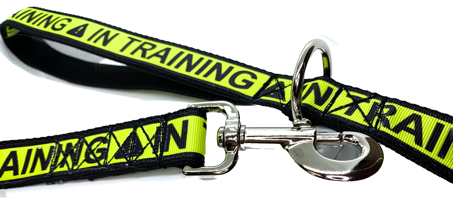 IN TRAINING Leash 1" width choose length