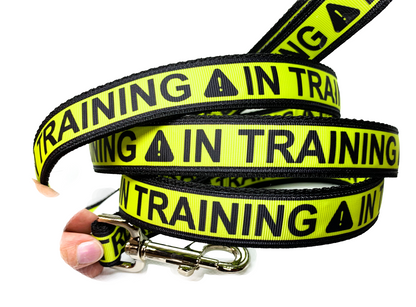 IN TRAINING Leash 1" width choose length