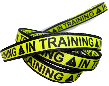 IN TRAINING Leash 1" width choose length