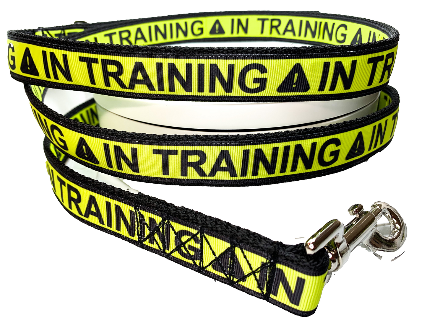IN TRAINING Leash 1" width choose length