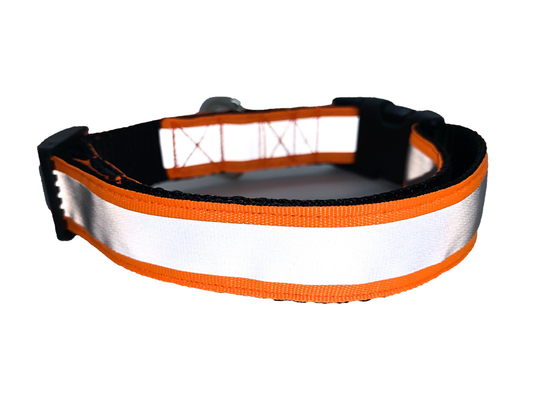 Neon Orange Reflective Collar 1" Width Adjustable