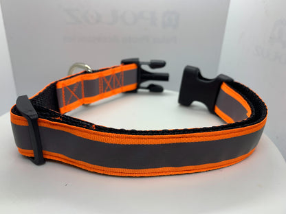 Neon Orange Reflective Collar 1" Width Adjustable