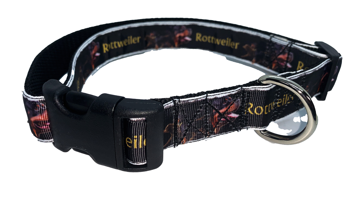 Rottweiler Collar Adjustable 1" or 1.5" width